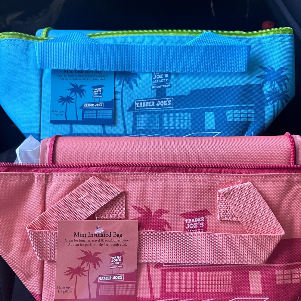 Trader Joe's Insulated Bags in Blue and Peach